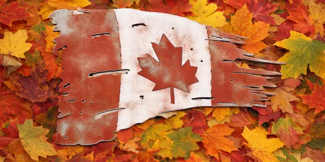 flag